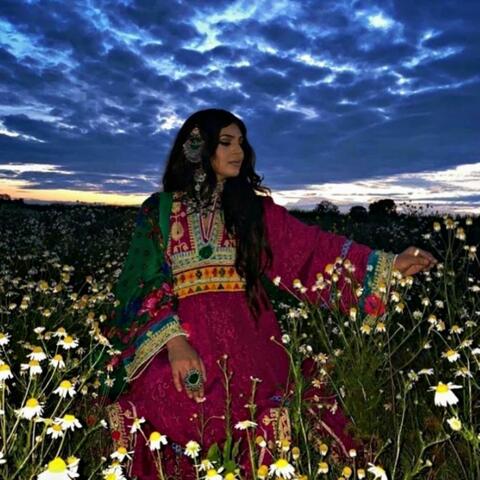 دلبر من بیا بهار امد