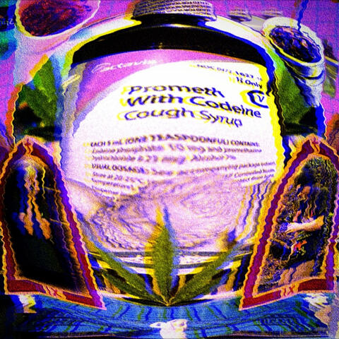 CHRONICLES OF THE BONG RIP