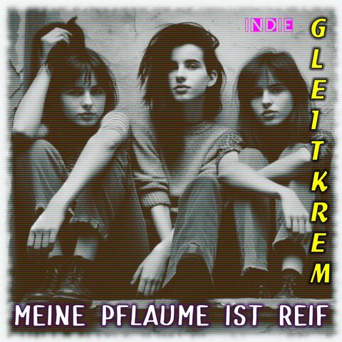 Meine Pflaume ist reif (feat. Gleitkrem) [Indie]