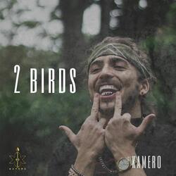 2 Birds