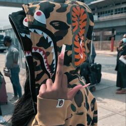 put u in bape (feat. Vani)