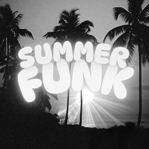 SUMMER FUNK (Slowed + Reverb)