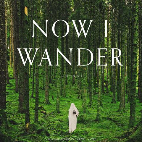 Now I Wander