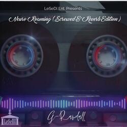 Neuro Roaming (Screwed & Reverb Edition)