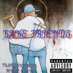 FAKE FRIENDS