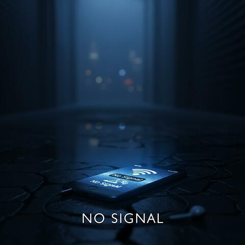 No Signal