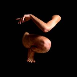 Placenta (Radio Edit)