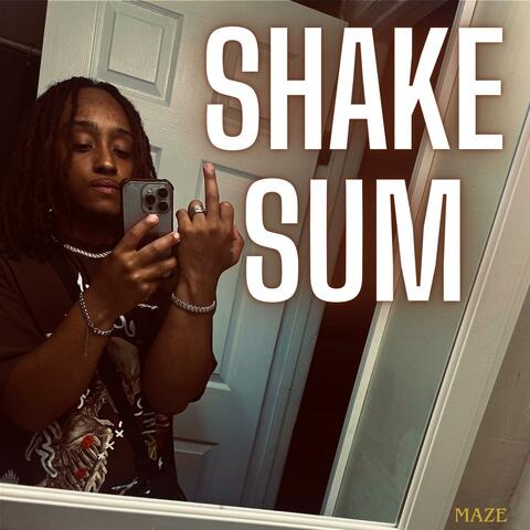 Shake Sum