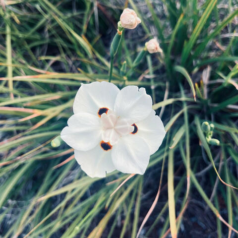 idkwhere2go (feat. yorohaerte)