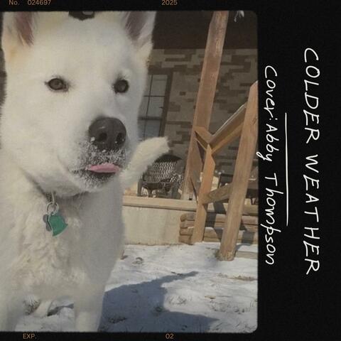 Colder Weather (Acoustic cover)