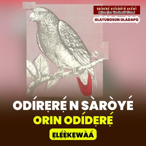 Odidere n Saroye Episode 10