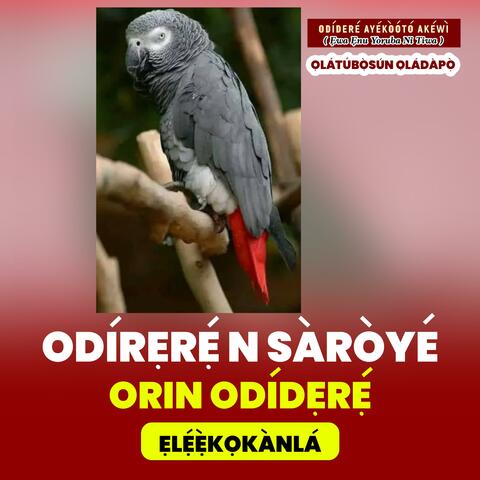 Odidere n Saroye Episode 11