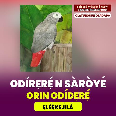 Odidere n Saroye Episode 12