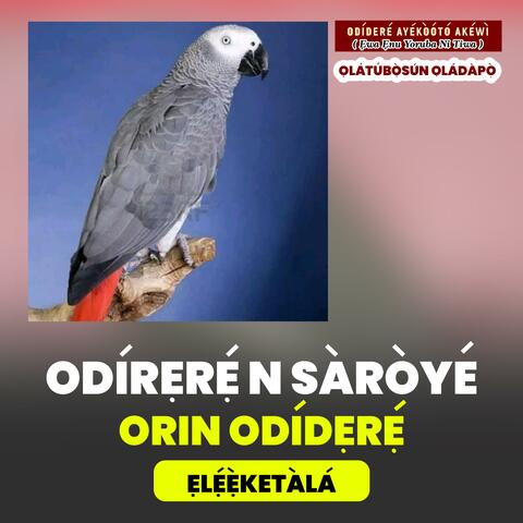 Odidere n Saroye Episode 13
