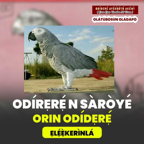 Odidere n Saroye Episode 14