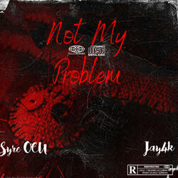 Not My Problem (feat. Jay4k)