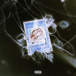 Blue Eyes White Dragon