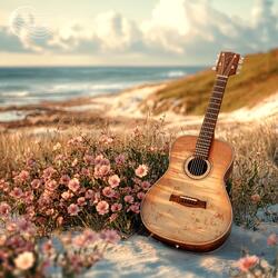 Every Breath You Take (Baiao Guitar Instrumental)