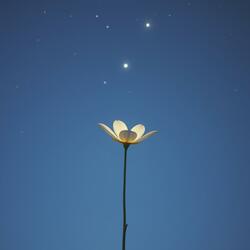 Eternal Light