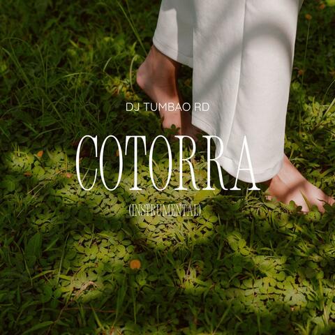 Cotorra (instrumental)