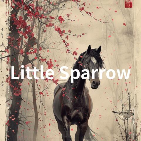 Little Sparrow