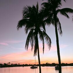 Til the Sun Comes Up! (feat. NIQCO)