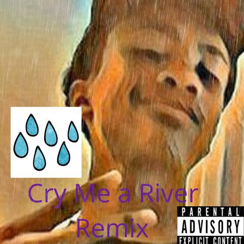 Cry Me A River Remix Sped Up