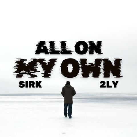 ALL ON MY OWN (feat. 2LY)