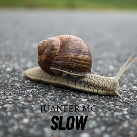 BABYSLOW