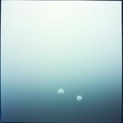 Break the Swan's Wings