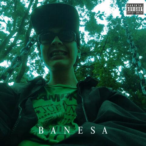 BANESA