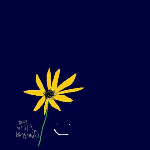 Sunflowers At Midnight