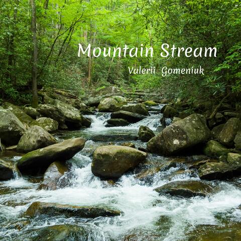 Mountain Stream