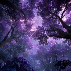 The Starlit Canopy of Virethil
