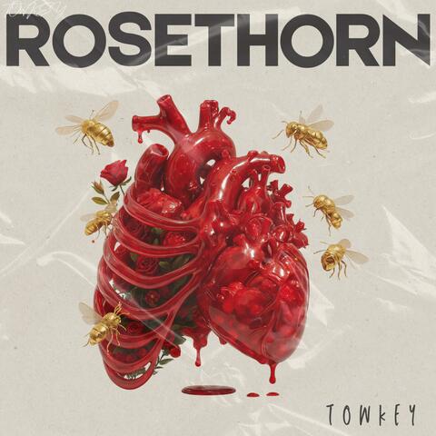 ROSETHORN