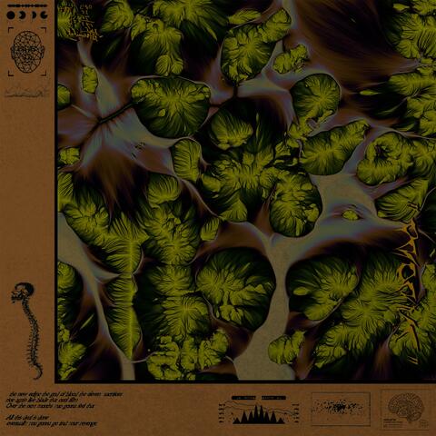植物神经紊乱