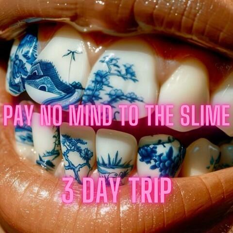 Pay No Mind To The Slime