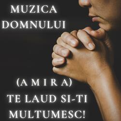 Te laud si-Ti multumesc! (feat. Amira)
