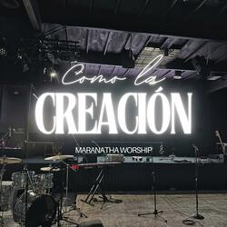 Como La Creación