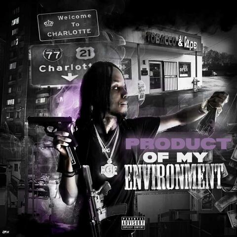Product Of My Environment