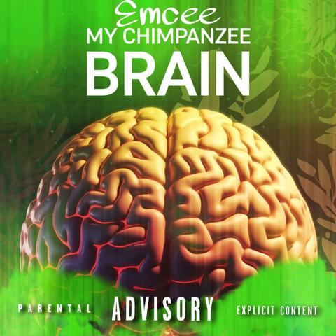 My Chimpanzee Brain