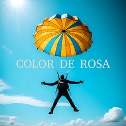 Color De Rosa (Chipeo Doble Tono)