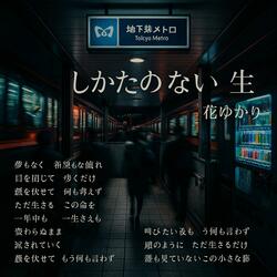 しかたのない生