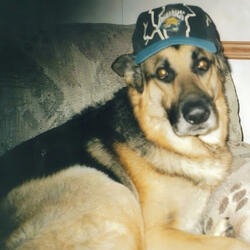 see me in your reflection