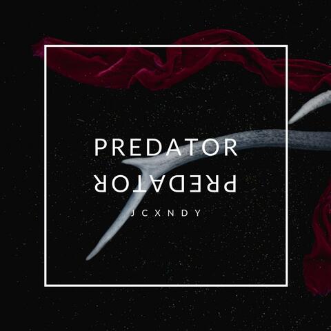 Predator