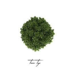 Tree Top (feat. RememberBuddha)