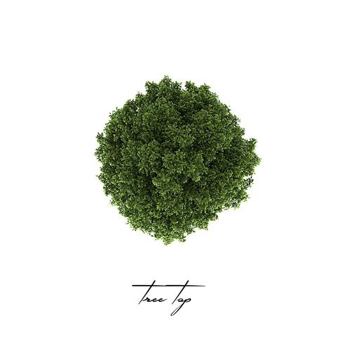Tree Top (feat. RememberBuddha)
