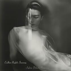 Endless Night's Journey (长夜漫漫) (feat. Liang Lin & Tian Zhang)