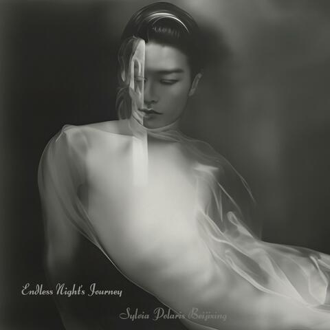Endless Night's Journey (长夜漫漫) (feat. Liang Lin & Tian Zhang)