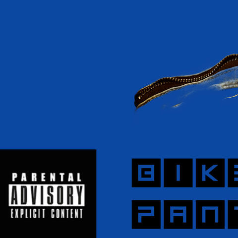 Biker pants